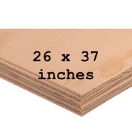 26x37 inches PRE CUT MARINE PLYWOOD