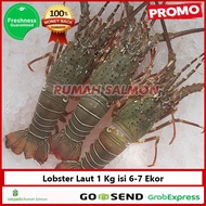 Lobster Laut 1kg isi 6-7 Ekor - Lobster Segar