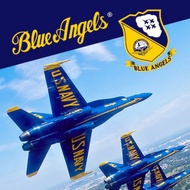 BLUE ANGELS AEROBATIC FLIGHT SIMULATOR (PS5/PS4 DIGITAL DOWNLOAD)