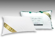 ETOZ Microfibre Pillow