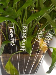 13入組壓克力植物標籤,用於花園盆栽,地上插入標牌