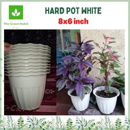 The Green Habit by May | 20 PESOS PASO 8X6 INCHES - 10PCS PER ORDER (PHP200) White Pot for plants white pots for plants sale 10 pcs white pots plants big sale