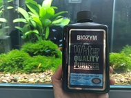 Biozym Water Quality Purifier làm trong nước hồ cá siêu nhanh-Biozym làm trong nước bể cábể tép-phụ