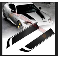 car body sticker Toyota honda Nissan bezza proton saga PERSONA EXORA