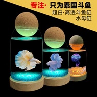 Glass Round Fish Tank Thailand Betta Fish Tank Aquarium Creative Jellyfish Tank Ultra White Betta Fish Tank Desktop Ecological Small Fish Tank with Light Micro Land