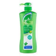 Ginvera Green Tea Pomelo Shampoo - Hair Revitalizer
