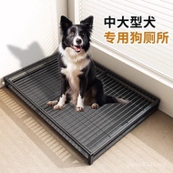Use Potty Toilet Dogs Stepping on Toilets Dogs Dogs Medium Large Medium Urinals Dog Shit Dogs Small 