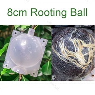 8cm Rooter Grow Box Fruit Tree Plant Rooting Ball Root Growing Case  SG9B3