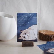 星空下的布偶貓 明信片 卡片 布偶貓 貓咪 喵喵