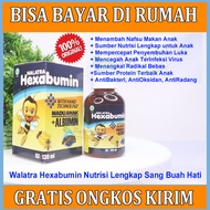 Hexabumin Madu Albumin Penambah Berat Badan Anak, Anak Susah Makan, Penguat Sistem Kekebalan Tubuh S