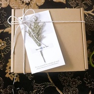 SURPRISE GIFTBOX FOR MELLOW & GWIYOMI