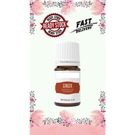 Young Living YL Ginger Flavoring 5ml