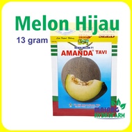 Benih Melon Hijau Amanda Tavi 13 gram / 600 biji Cap Kapal Terbang F1 