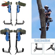 Tree Climbing Gear Set Tree Spike Climbing Spikes Set Tree Climbing Spikes Adjustable Climbing Spike