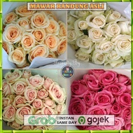 Tersedia Bunga Mawar bandung/ bunga mawar fresh / bunga mawar segar