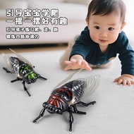 Children's wind-up realistic cicada golden cicada crawling insect creative novelty model ornament fu