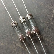 10pcs 10A/250v fuse