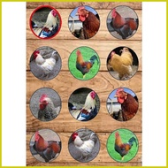 ❊ ➮ √ Manok  or Chicken Theme Cake Topper Customized