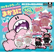 Onigiri to Kimyo na Nakamatachi- 6 Feet Axolotl Macaroni (6 Complete Types) Blind Bag