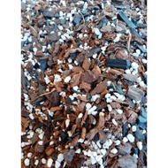 X Blend Aroid Soil MIX (5 L)