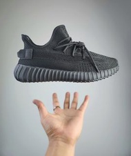 Adidas Yeezy 350 Boost V2