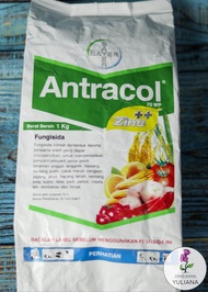 Fungisida Antracol Kemasan Repack