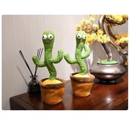 Dancing Cactus, Mimicking Cactus