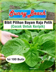 Bibit Pilihan Bayam Raja Petik Cocok Untuk Keripik | Biji Bibit Bayam Petik | Biji Benih Bayam
