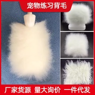 Pet Fake Hair Beautician Practice Fake Hair Block Fake Hair Piece Back Hair Bracket Model Simulation