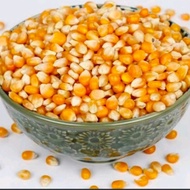 1KG BIJI JAGUNG POPCORN/JAGUNG POPCORN MENTAH