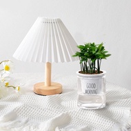 植栽 室內盆栽 竹柏 日本艾草 懶人盆栽