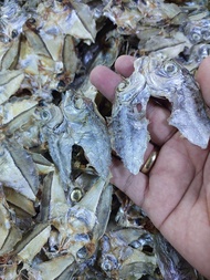 BONELESS SAPSAP | PREMIUM QUALITY | DRY FISH | 100G to 1KG