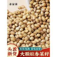 Seed Baicao Coriander Seeds 500g Fragrant Seeds Coriander Seeds Coriander Seeds Spices Daquan Edible