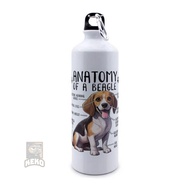 Funny Beagle Anatomy Beagle Dog Lover Sport Bottle