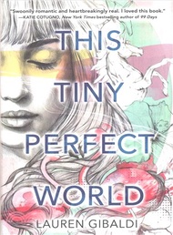 This Tiny Perfect World