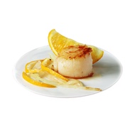 【築地一番鮮】日本特大M生食干貝2包禮盒(約500g/盒)