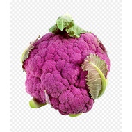 30.Cauliflower Purple Seeds 20pcs Free Normal Mail in Sg