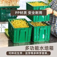 芽苗菜發豆芽機商用家庭生豆芽容器花生芽黃豆芽綠豆芽種植器