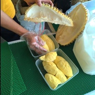 Ready Stok Durian Montong Bali-Palu Premium Fresh Utuh Pilihan -