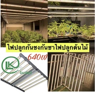 พร้อมส่ง(รับประกัน2ปี)ไฟปลูกกันชา Grow Bars ไฟบาร์ปลูกต้นไม้ ุมีUV+IR640WและTop1000W6บาร์ 8บา 10บา พ