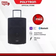 speaker Polytron Paspro 12F3