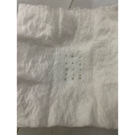 Drosera Omissa x Pulchella Sprouts