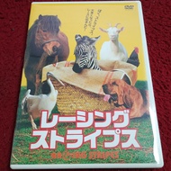 Universal DVD Racing Stripes Condition As Shown In The Cover Photo AK3-40