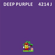 5 liters Nanolite Ionpaint Premium interior wall paint with air purification function ( colour ) 5L