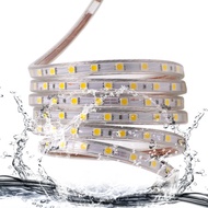 220V LED 5050 strip 5M 10M waterproof LED strip hotel Christmas home decoration strip