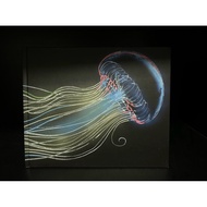 Secondhand Book Used : English | Margaret Peot The Science of Light: Things that Shine Flash and Glo