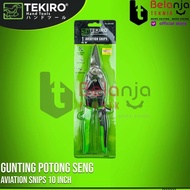 Tekiro Gunting Potong Seng 10" Inch Lurus Gunting Holo Baja Ringan