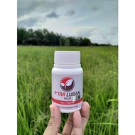 PTAR LUBAN ORIGINAL ™ rawat sawan / epilepsy | saraf | minda | Ptar luban sawan | Ptar Luban plus