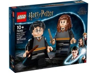 [Sold] LEGO - 76393 Harry Potter：Harry Potter & Hermione Granger 哈利波特：哈利波特 和妙麗·格蘭傑