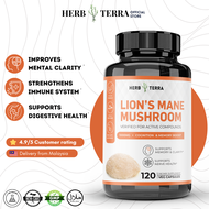 Herb Terra Lion’s Mane Mushroom Cognition 120 Capsules | Lions Mane Mushroom Powder Extract Capsules